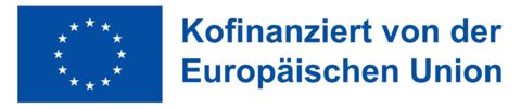 DE Kofinanziert von der Europäischen Union_PANTONE.jpg